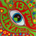 обложка The Psychedelic Sounds of the 13th Floor Elevators